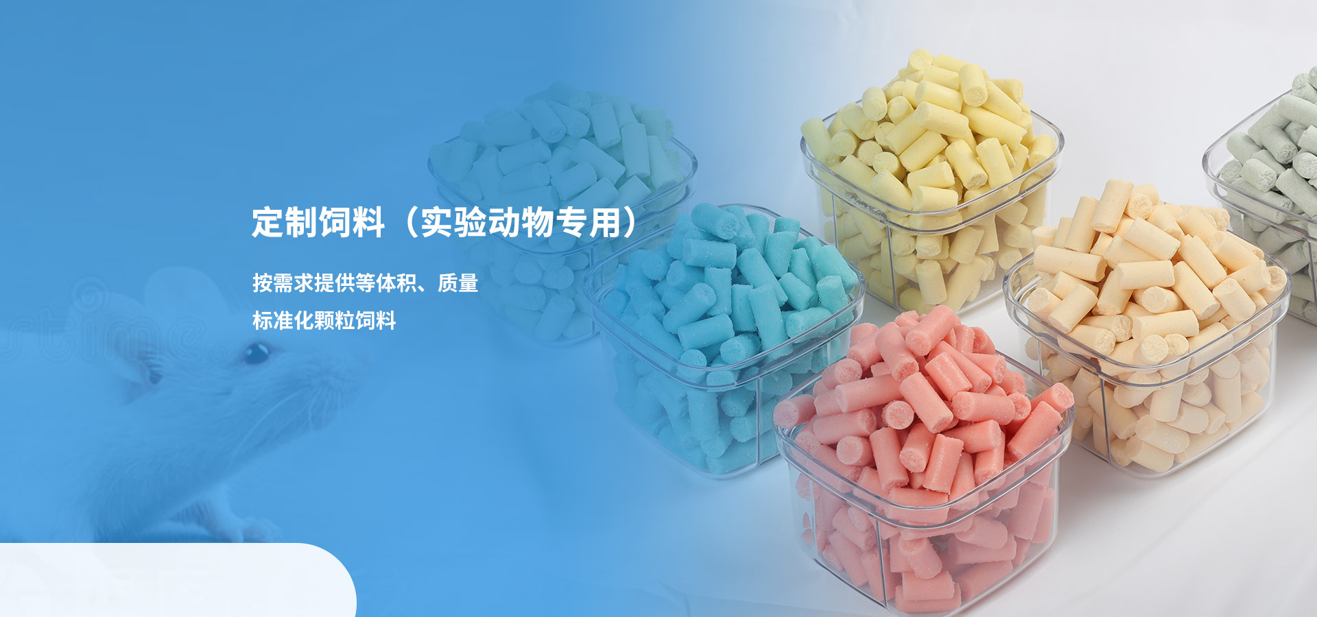 j9集团·(中国)