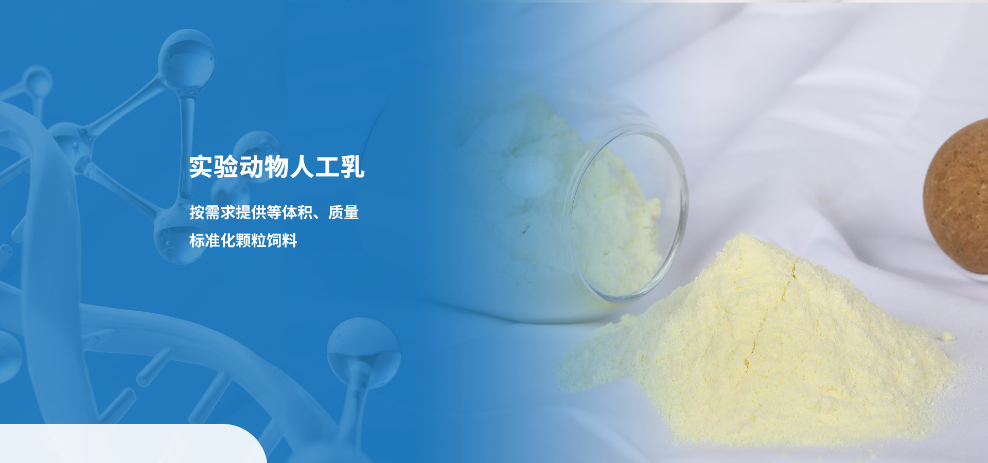 j9集团·(中国)