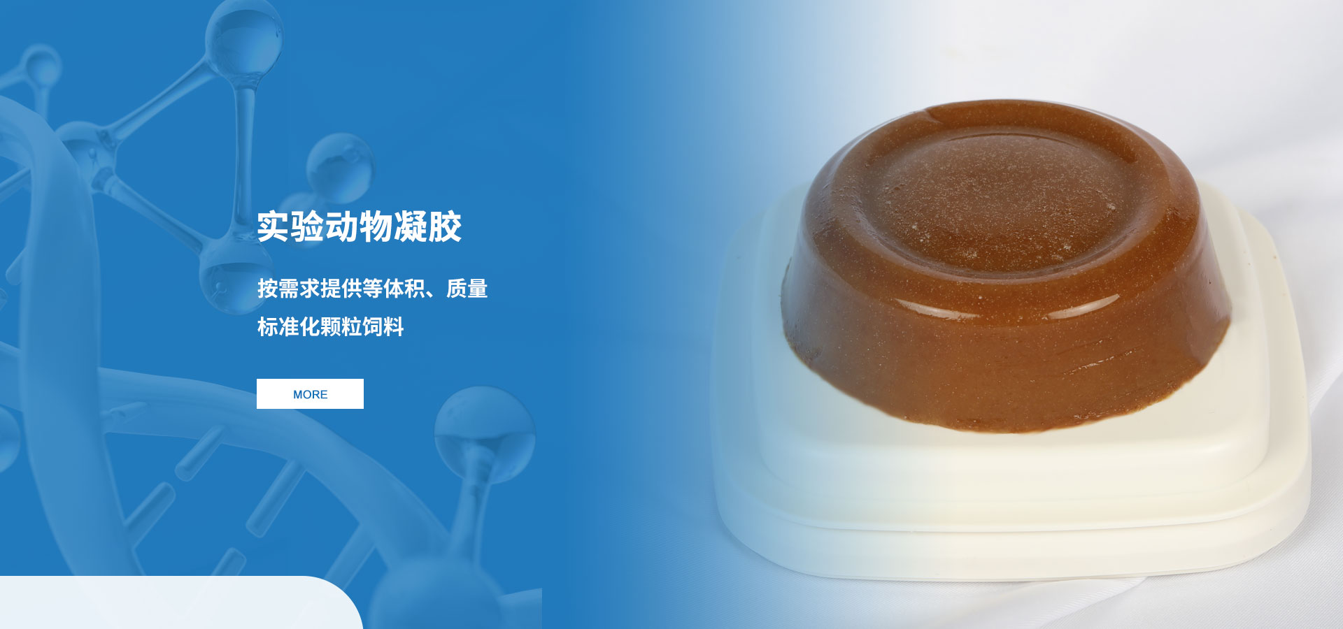 j9集团·(中国)